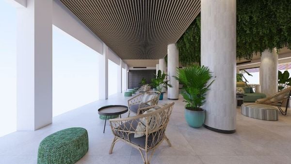 THB Bamboo Alcudia