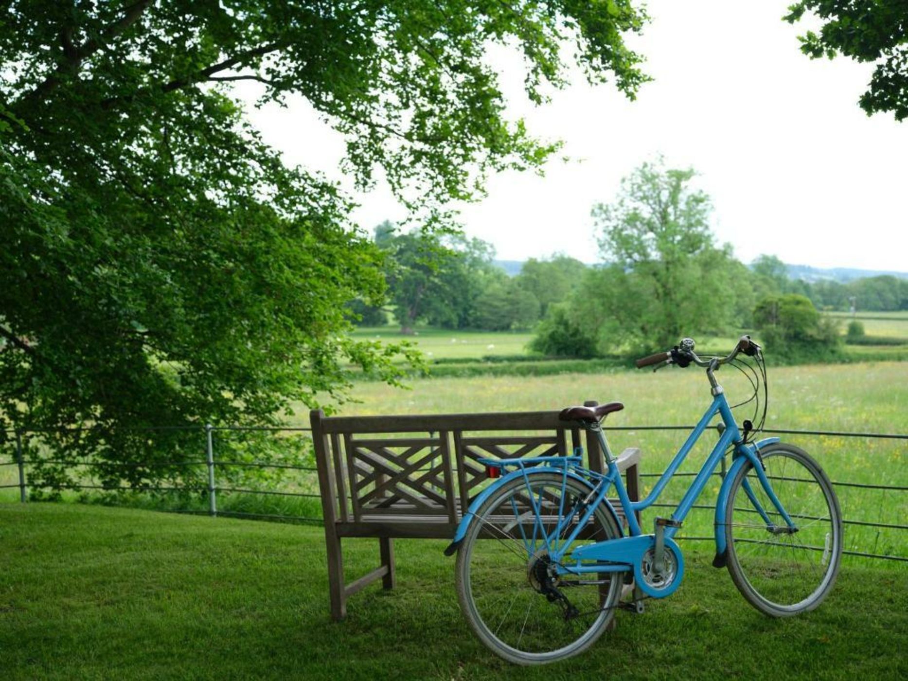 Wildhive Callow Hall