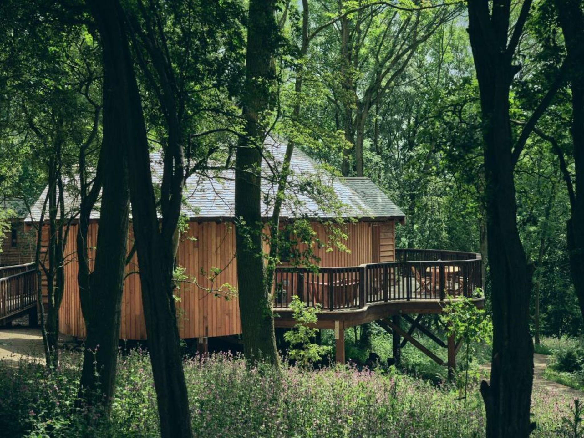 Wildhive Callow Hall