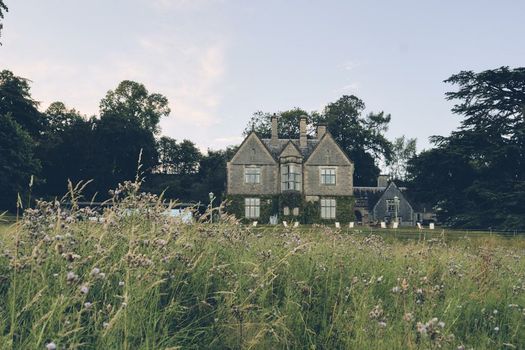 Wildhive Callow Hall
