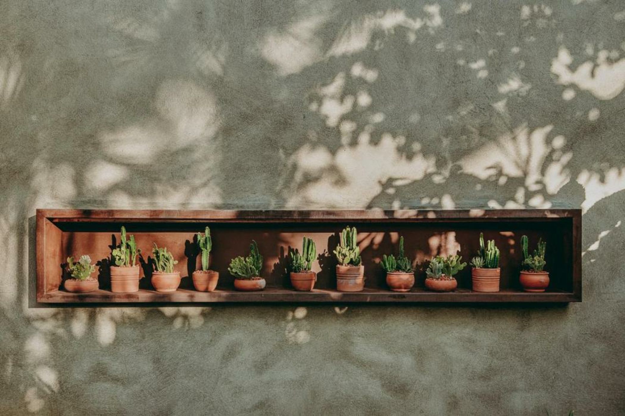 Barracuda Hotel & Villas