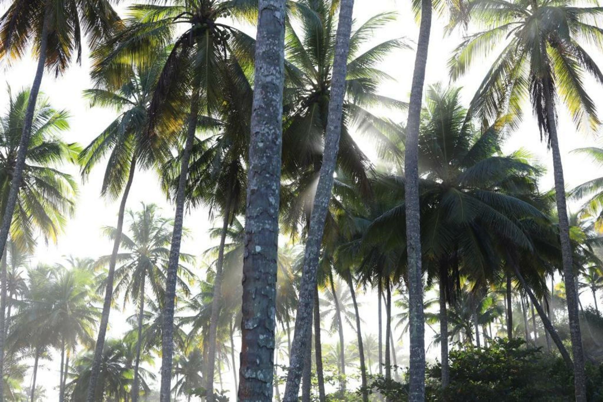 Barracuda Hotel & Villas