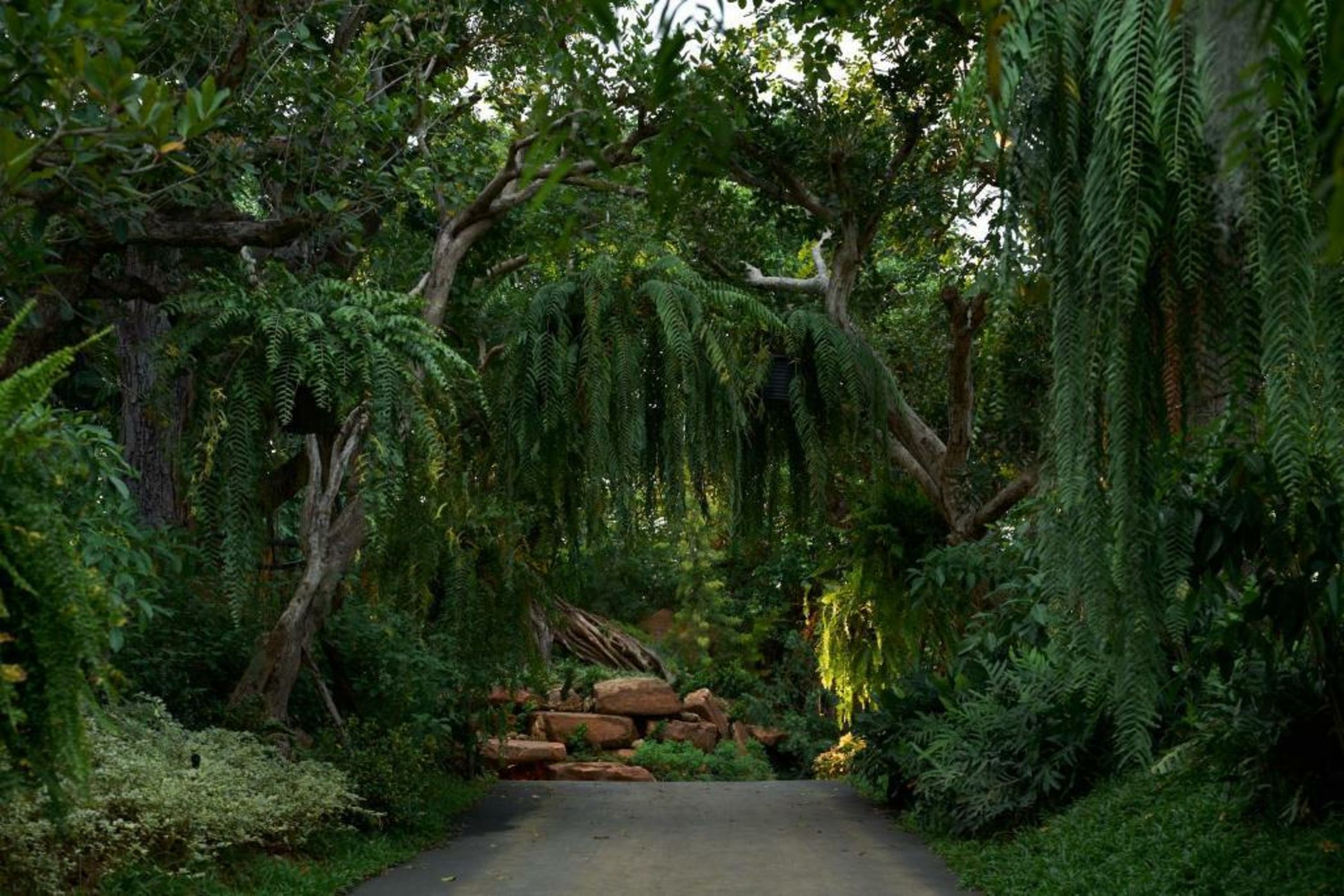 InterContinental Khao Yai Resort, an IHG Hotel - SHA Extra Plus