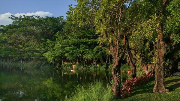InterContinental Khao Yai Resort, an IHG Hotel - SHA Extra Plus