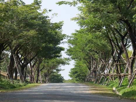 InterContinental Khao Yai Resort, an IHG Hotel - SHA Extra Plus