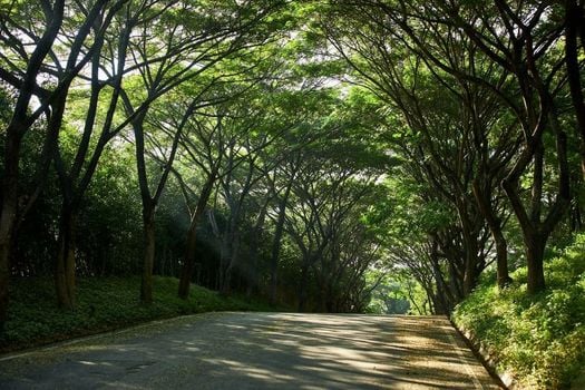 InterContinental Khao Yai Resort, an IHG Hotel - SHA Extra Plus