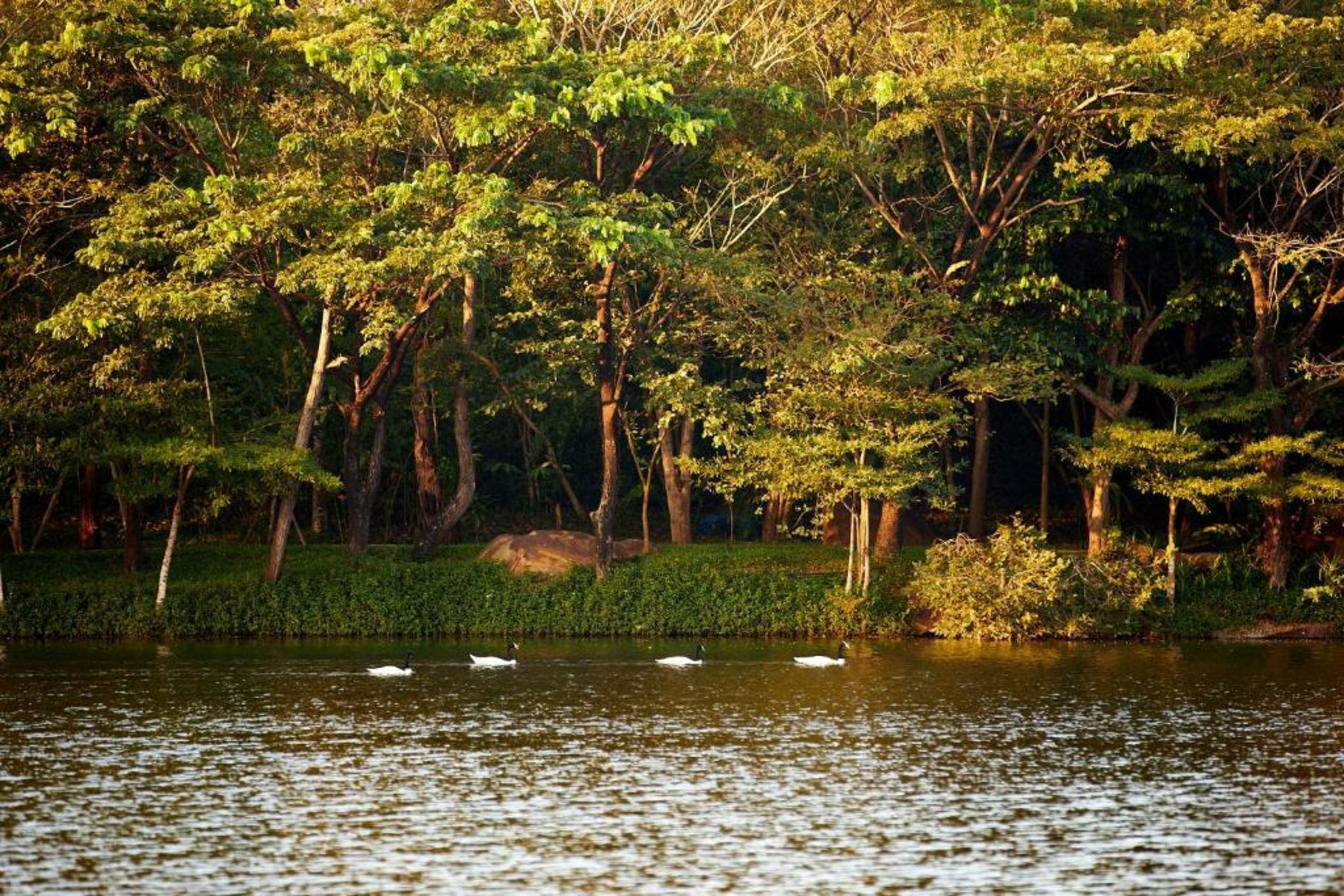 InterContinental Khao Yai Resort, an IHG Hotel - SHA Extra Plus