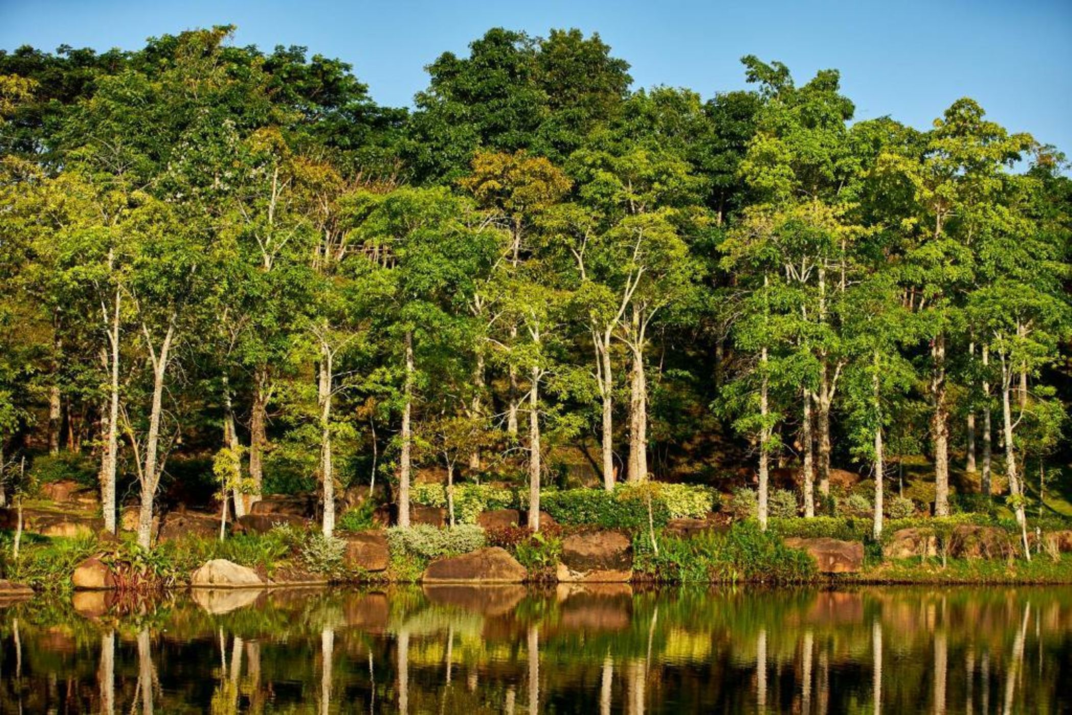 InterContinental Khao Yai Resort, an IHG Hotel - SHA Extra Plus