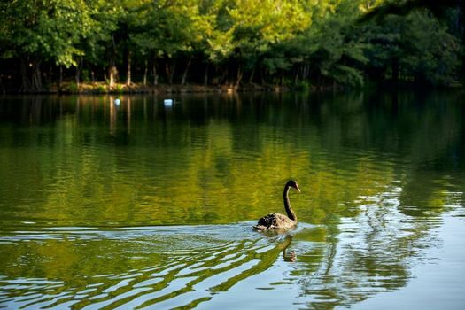 InterContinental Khao Yai Resort, an IHG Hotel - SHA Extra Plus