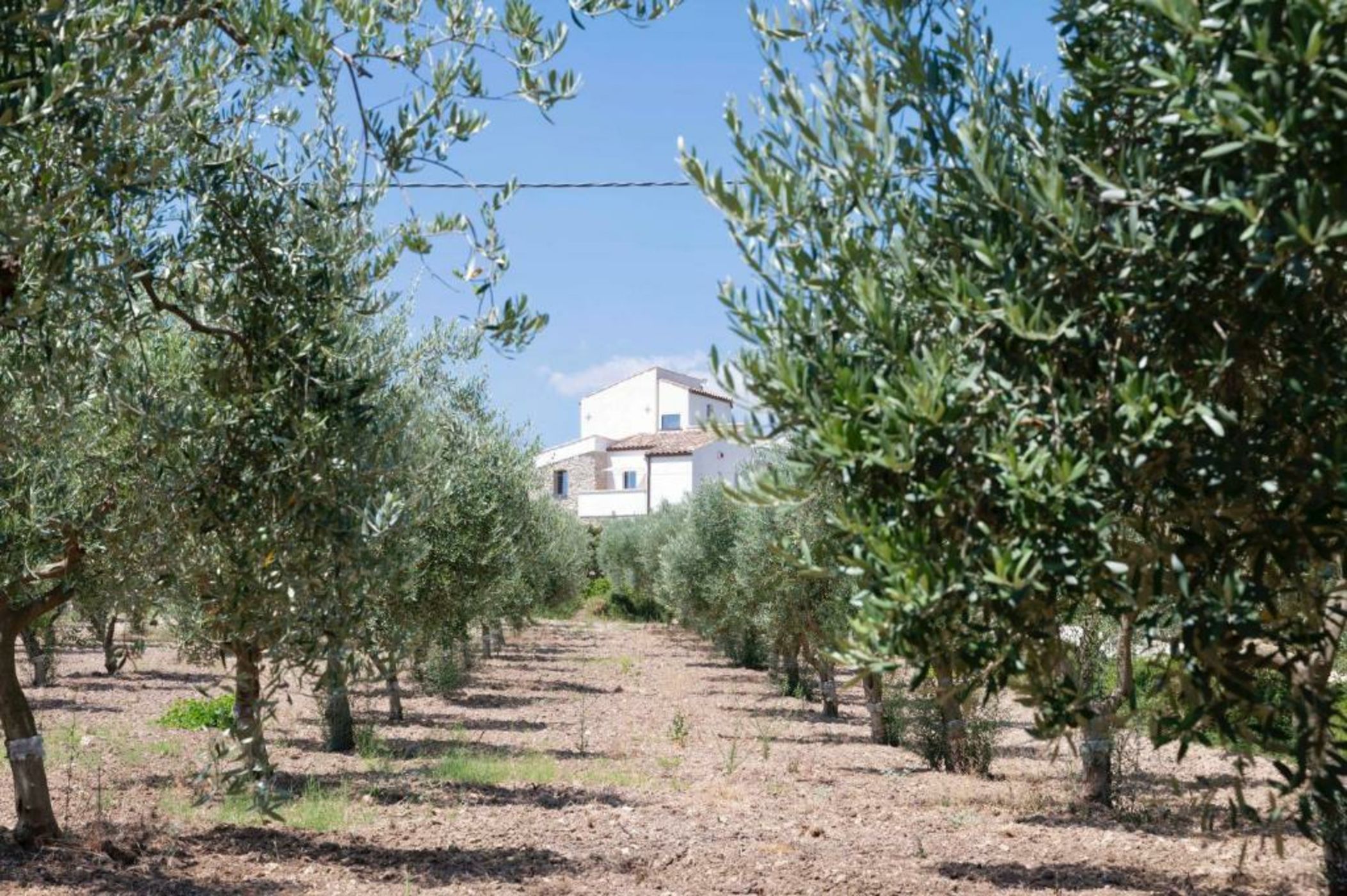 Oikos in Terre di Zaccanello