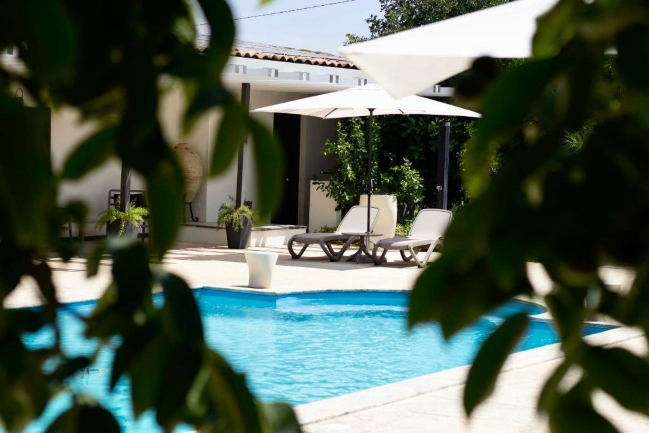 Oikos in Terre di Zaccanello