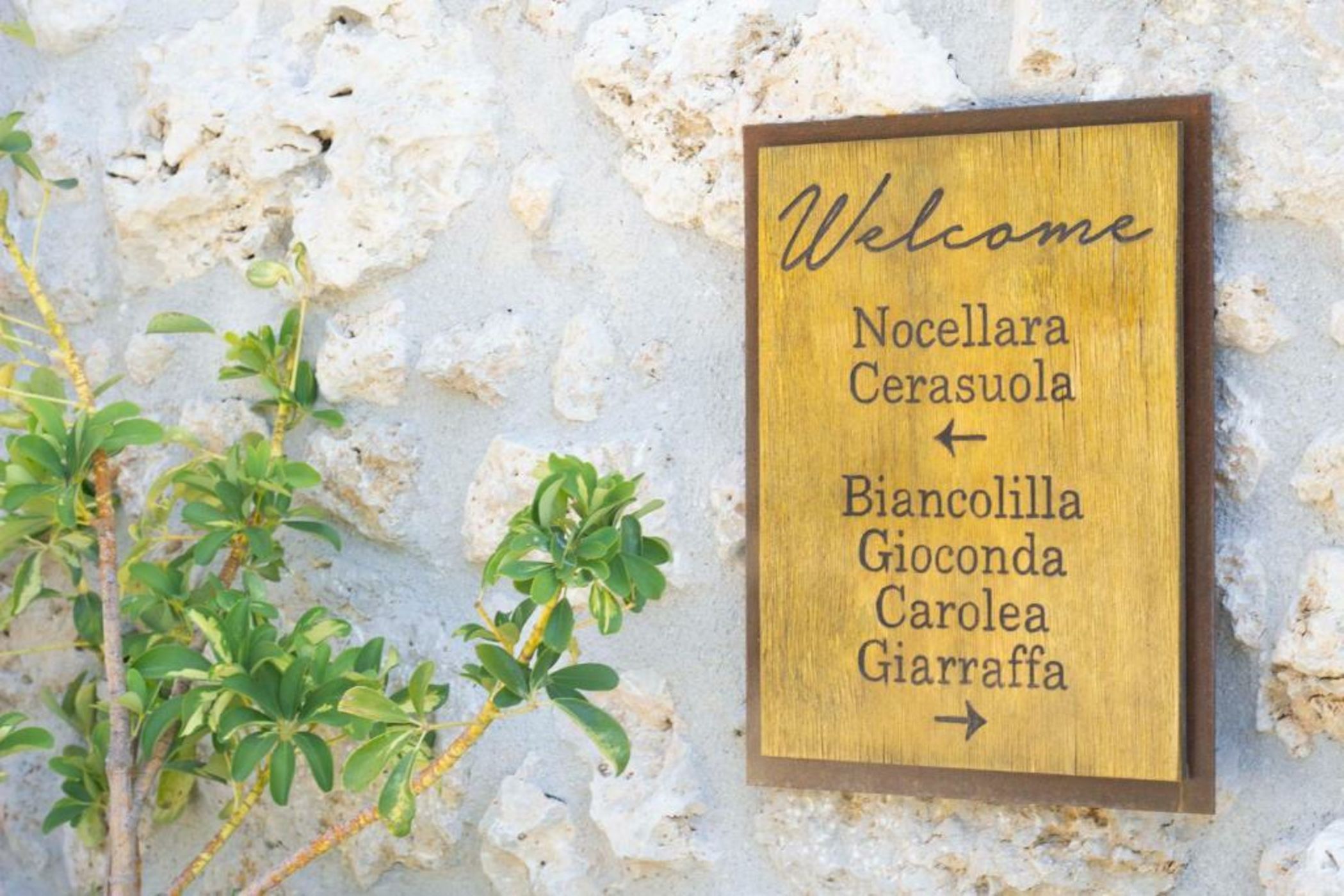 Oikos in Terre di Zaccanello