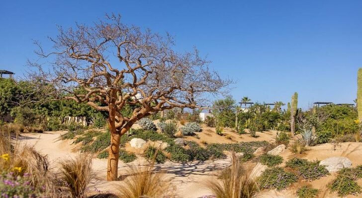 Rancho Pescadero