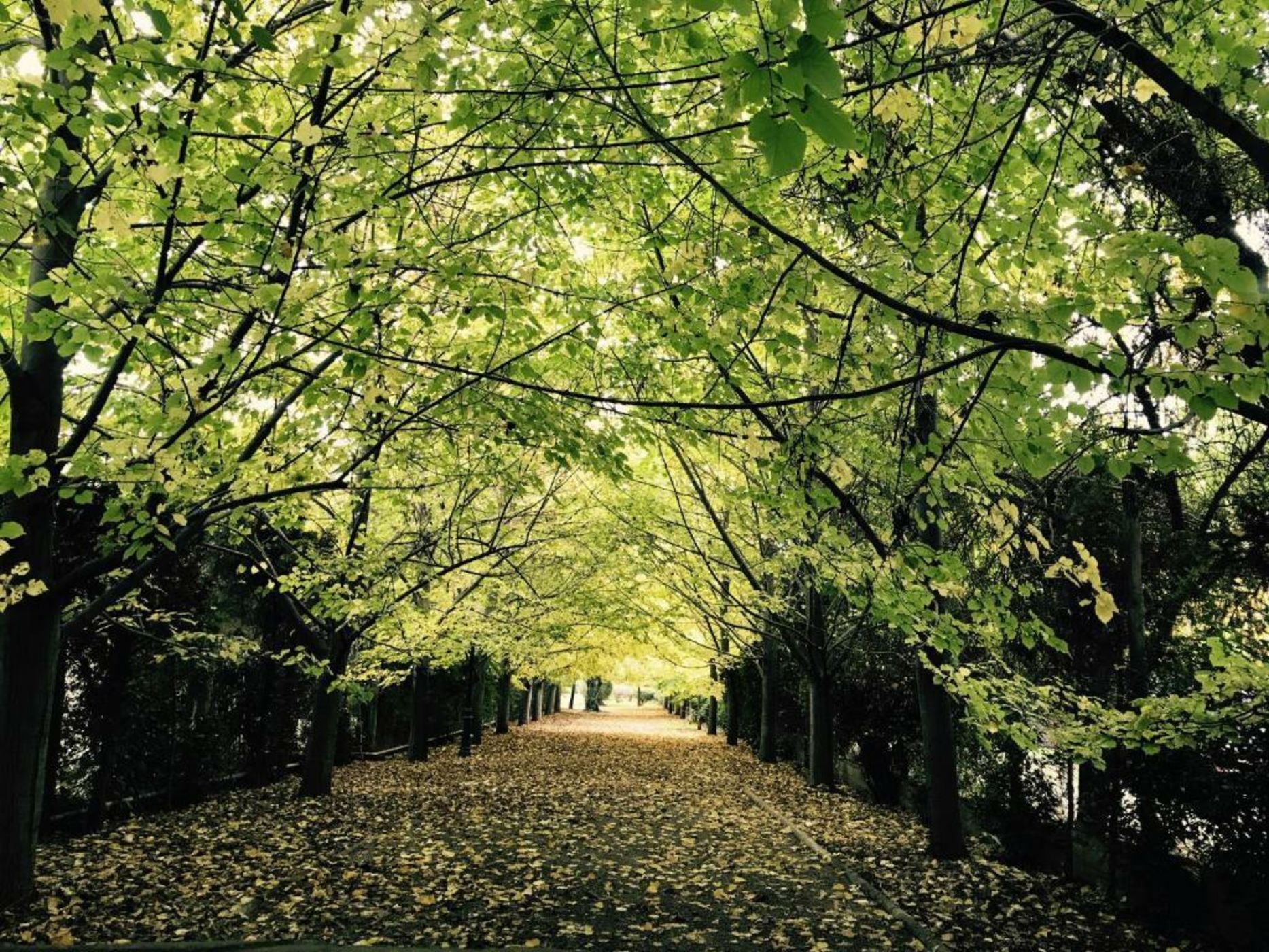 Susana Balbo Winemaker´s House