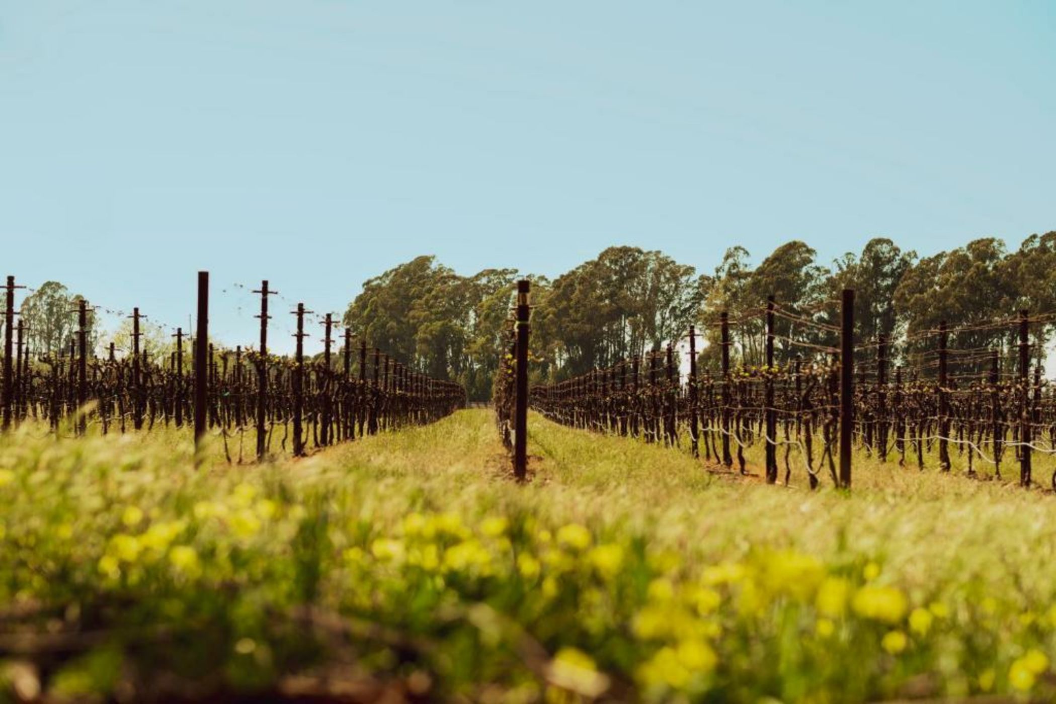 Stanly Ranch, Auberge Resorts Collection