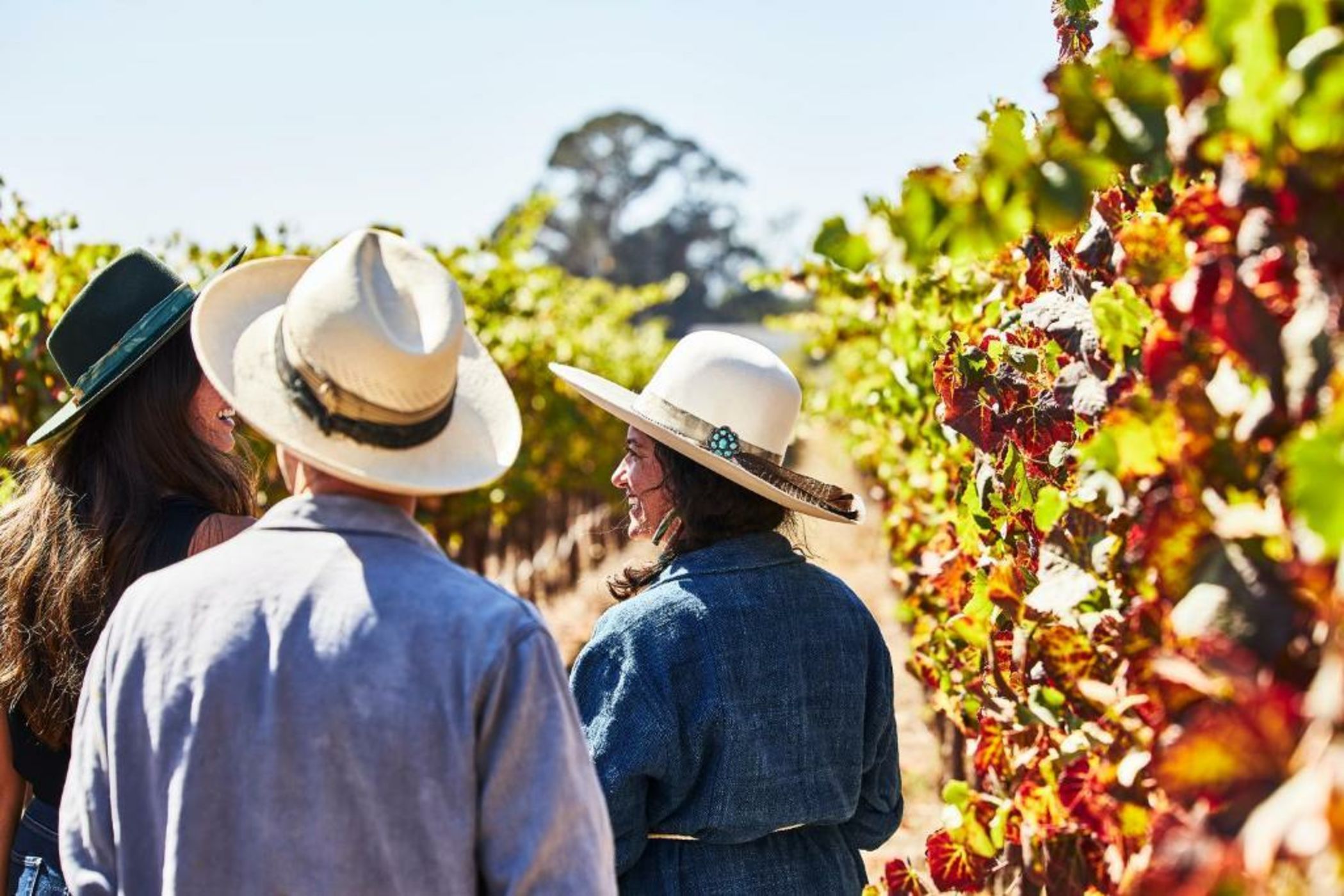 Stanly Ranch, Auberge Resorts Collection