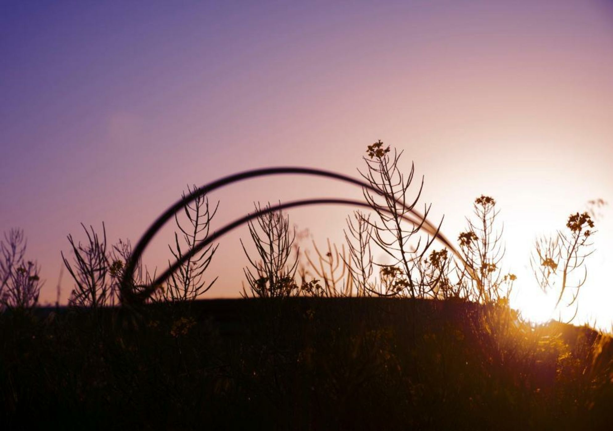 Stanly Ranch, Auberge Resorts Collection