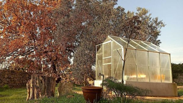 Masseria LoJazzo