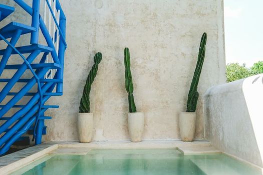 Wakax Hacienda - Cenote & Boutique Hotel
