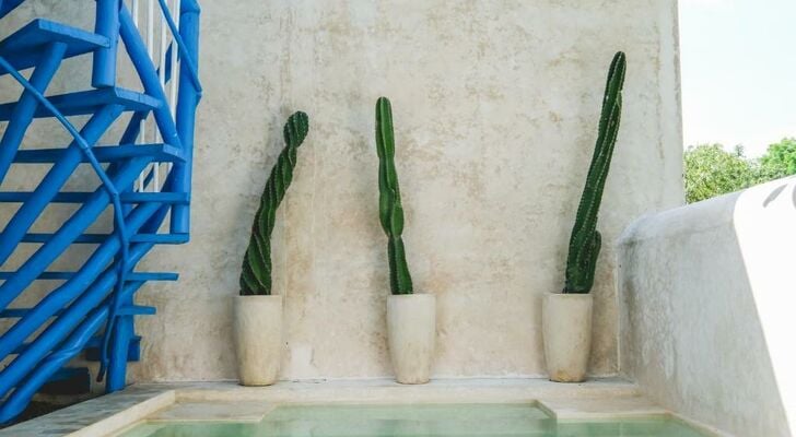 Wakax Hacienda - Cenote & Boutique Hotel