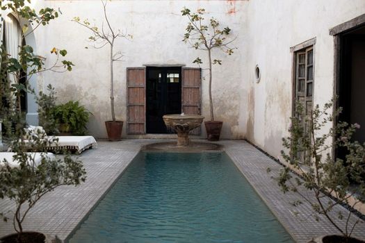 Casa Olivia