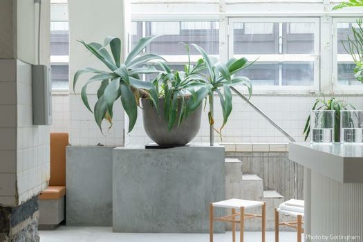 KIRO Hiroshima by THE SHARE HOTELS