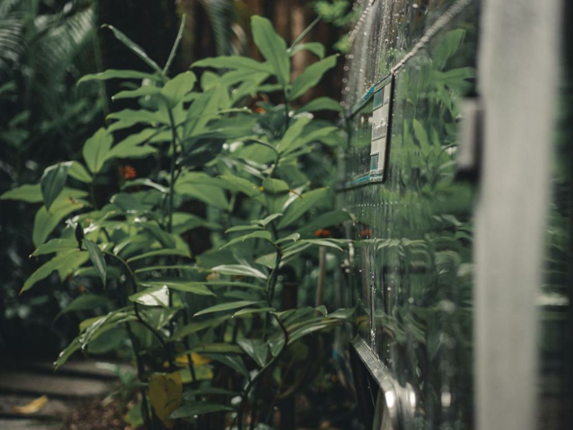 Airstream by the Sea