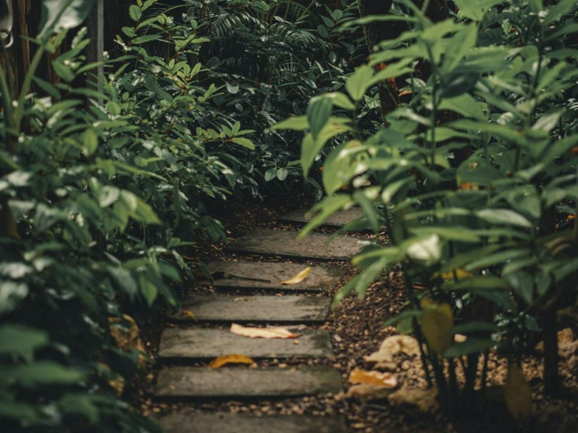 Airstream by the Sea