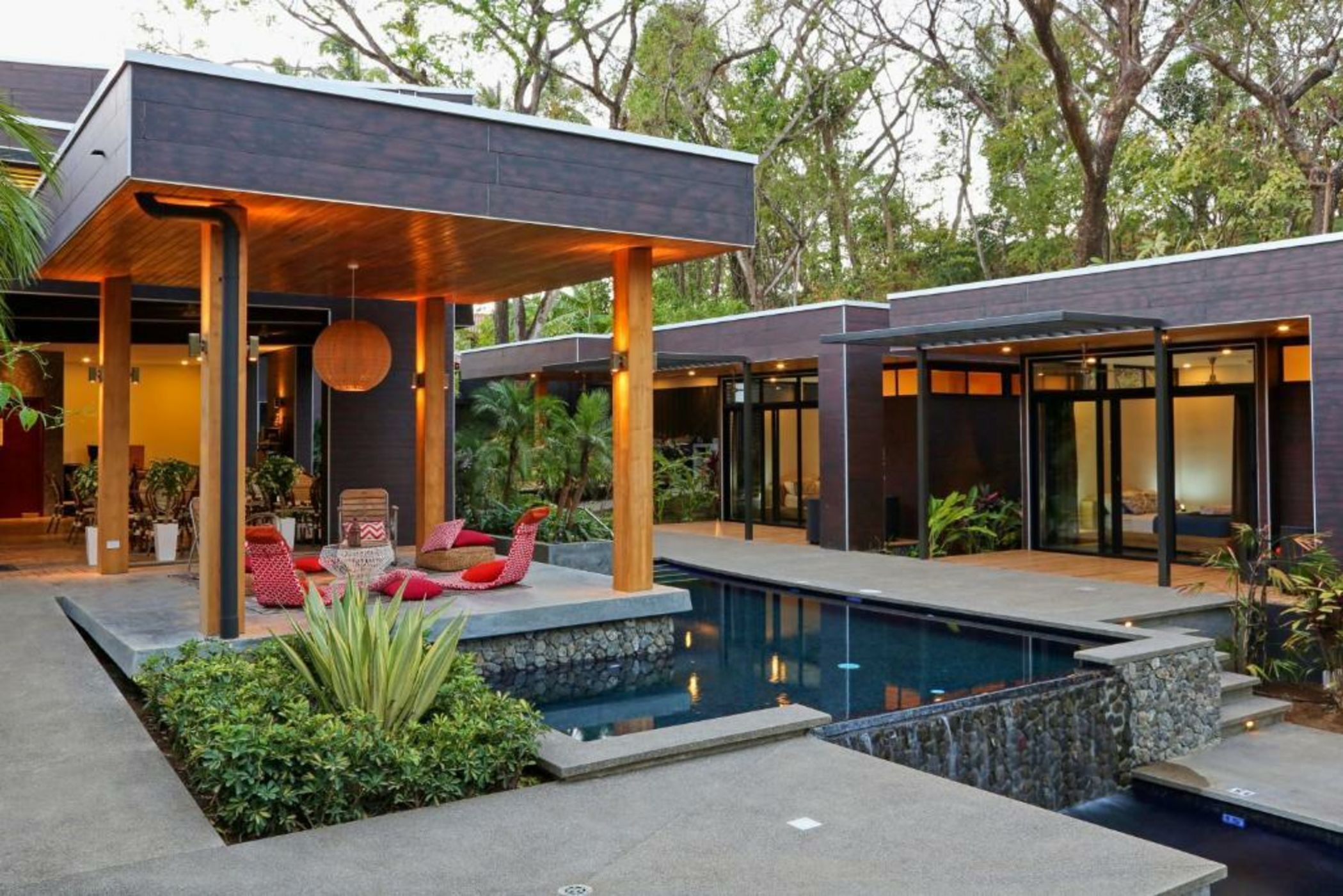 The White Palms of Nosara