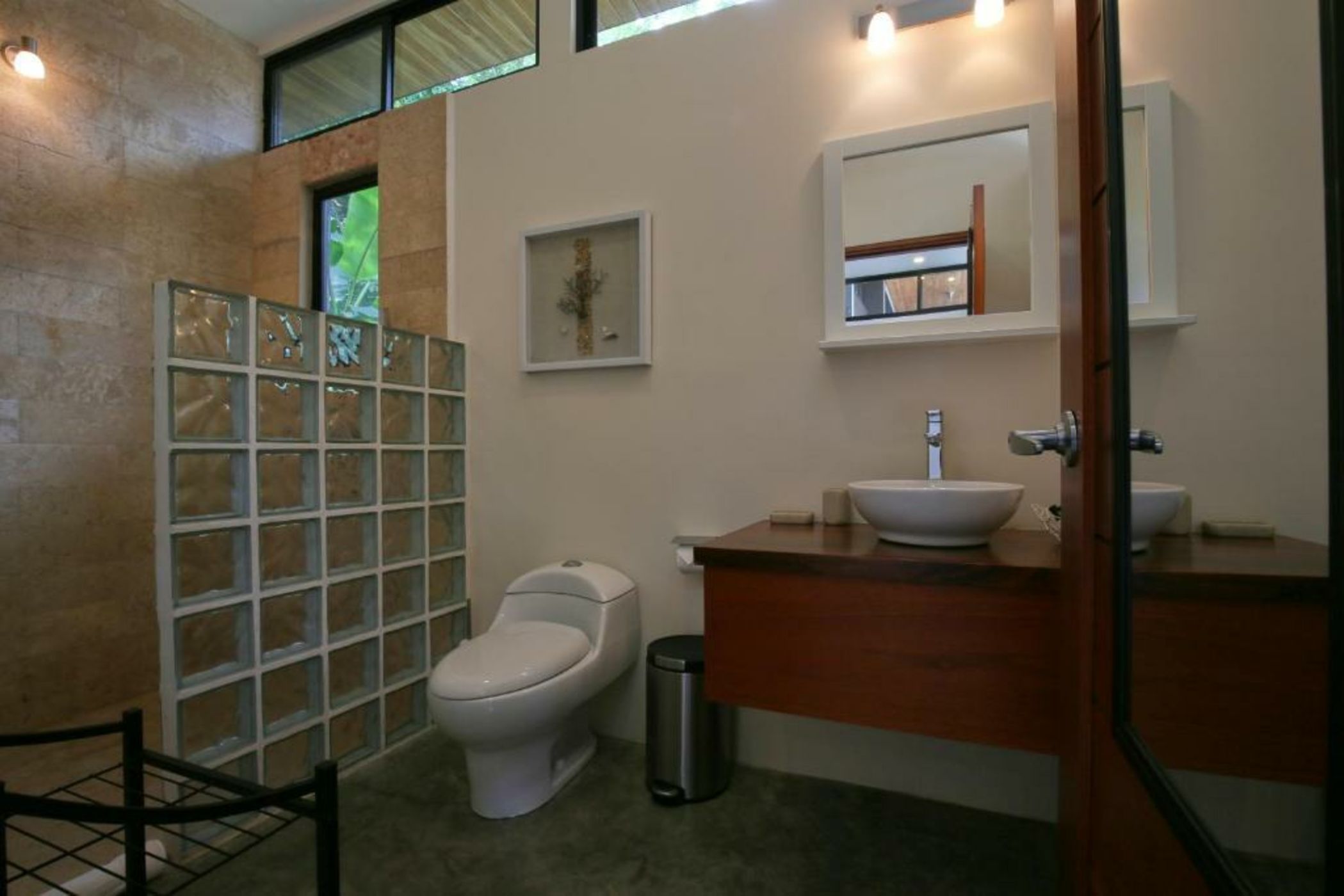 The White Palms of Nosara