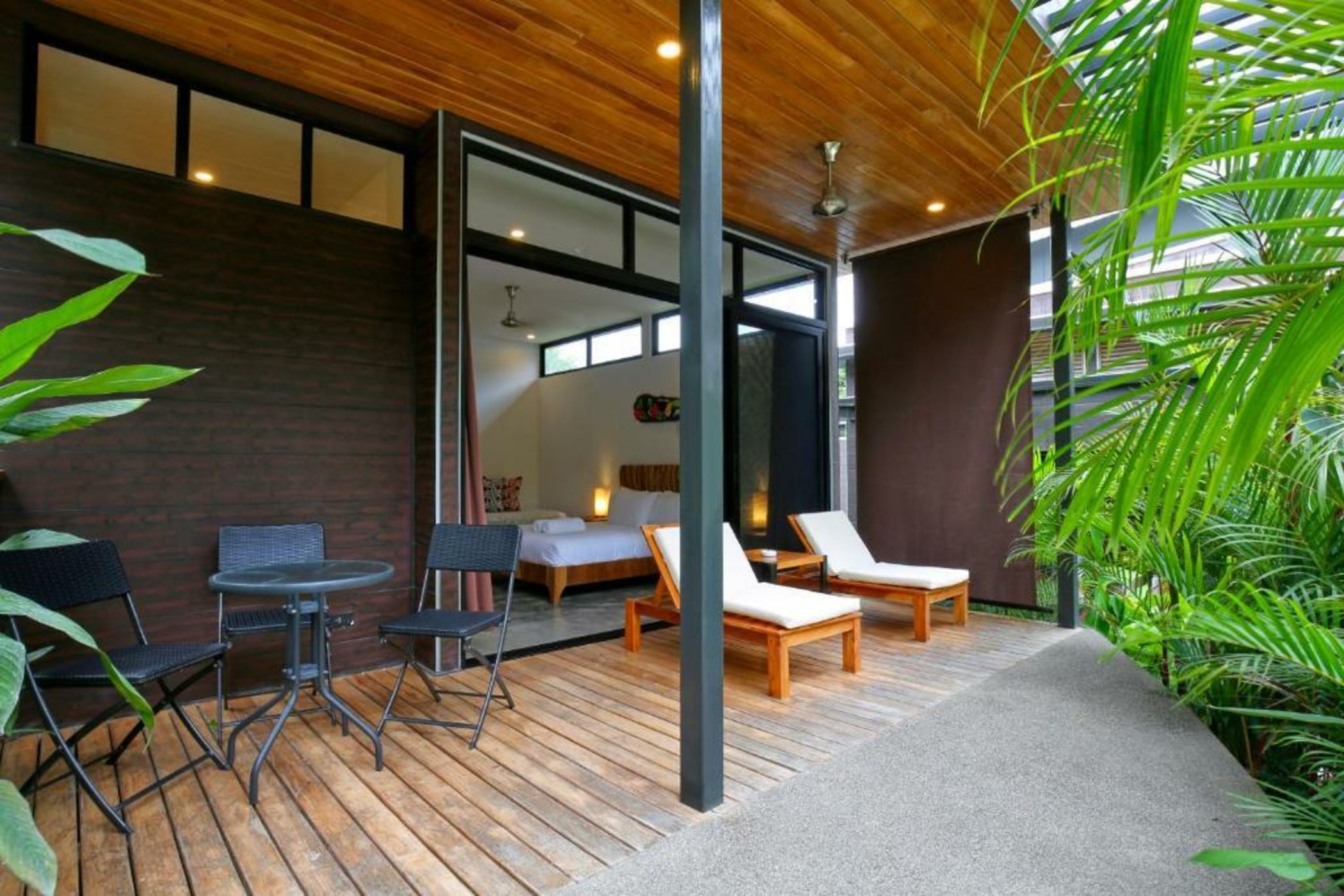 The White Palms of Nosara