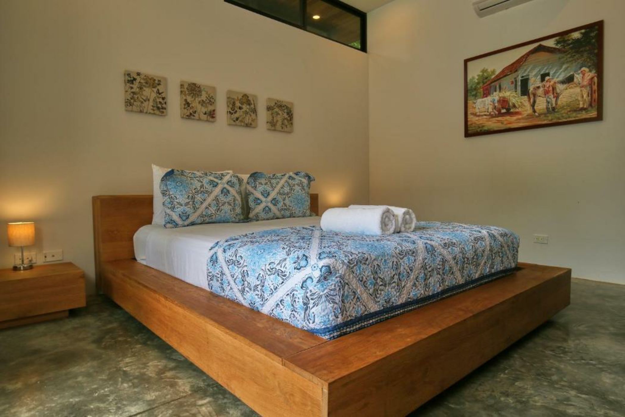 The White Palms of Nosara