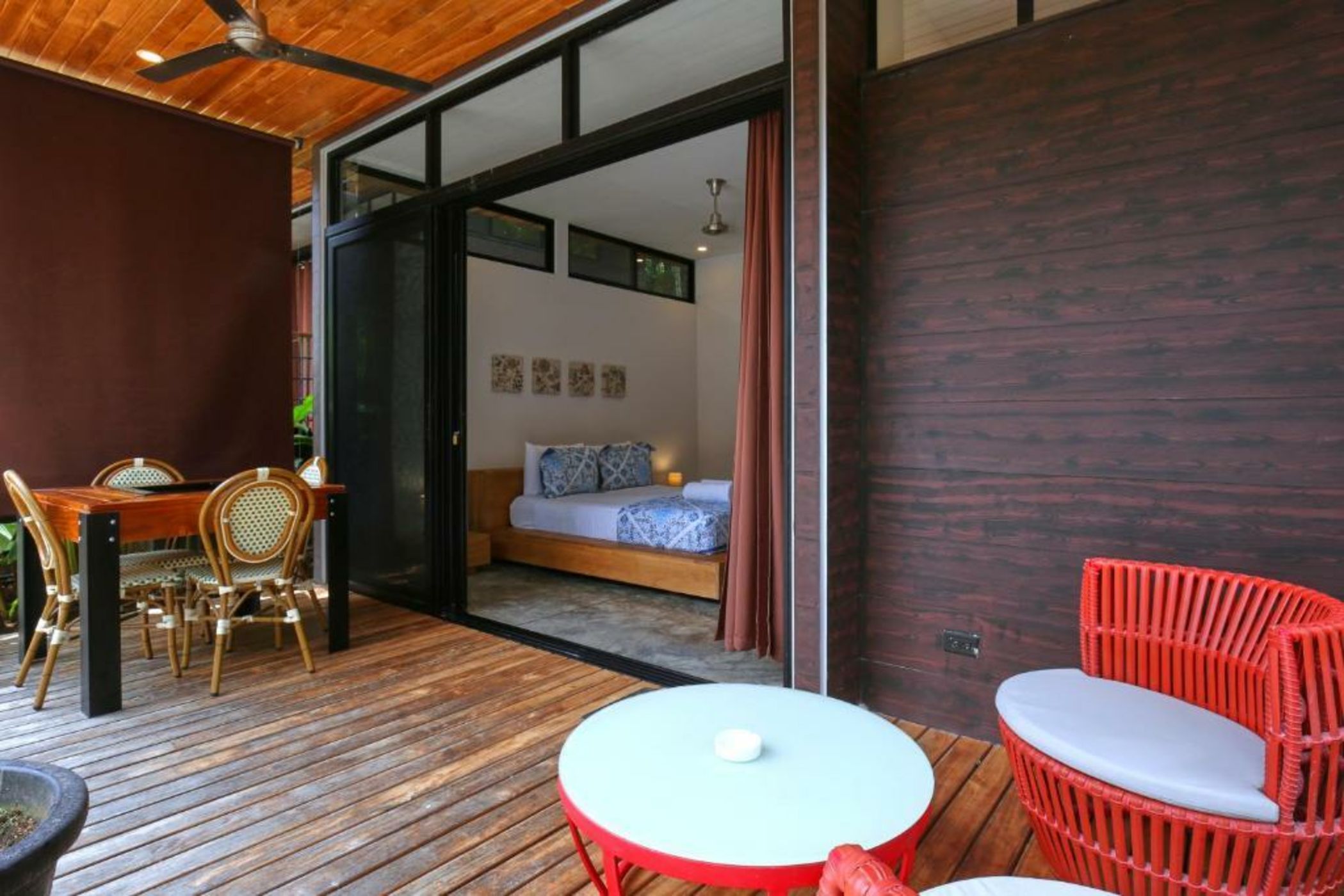 The White Palms of Nosara