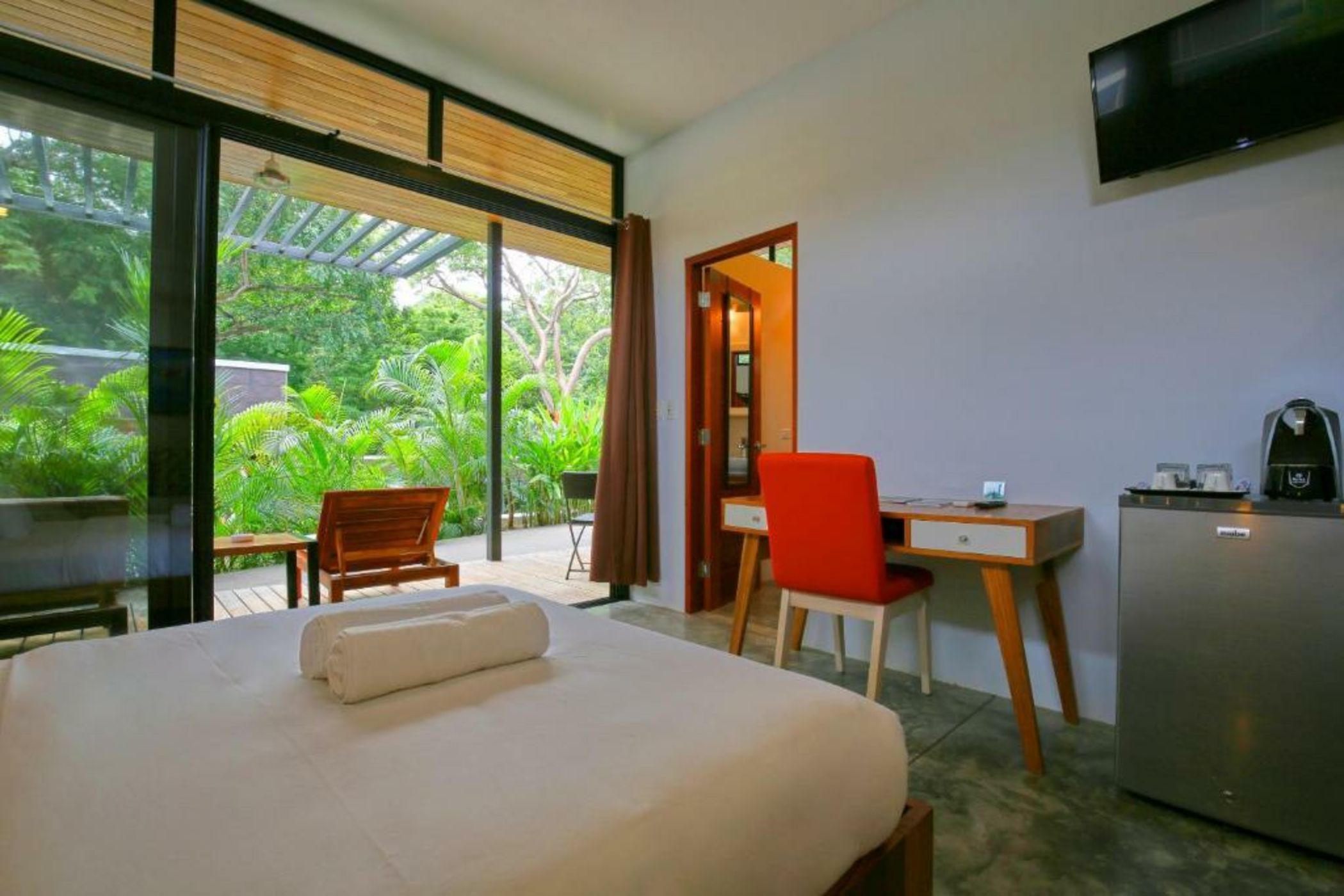 The White Palms of Nosara