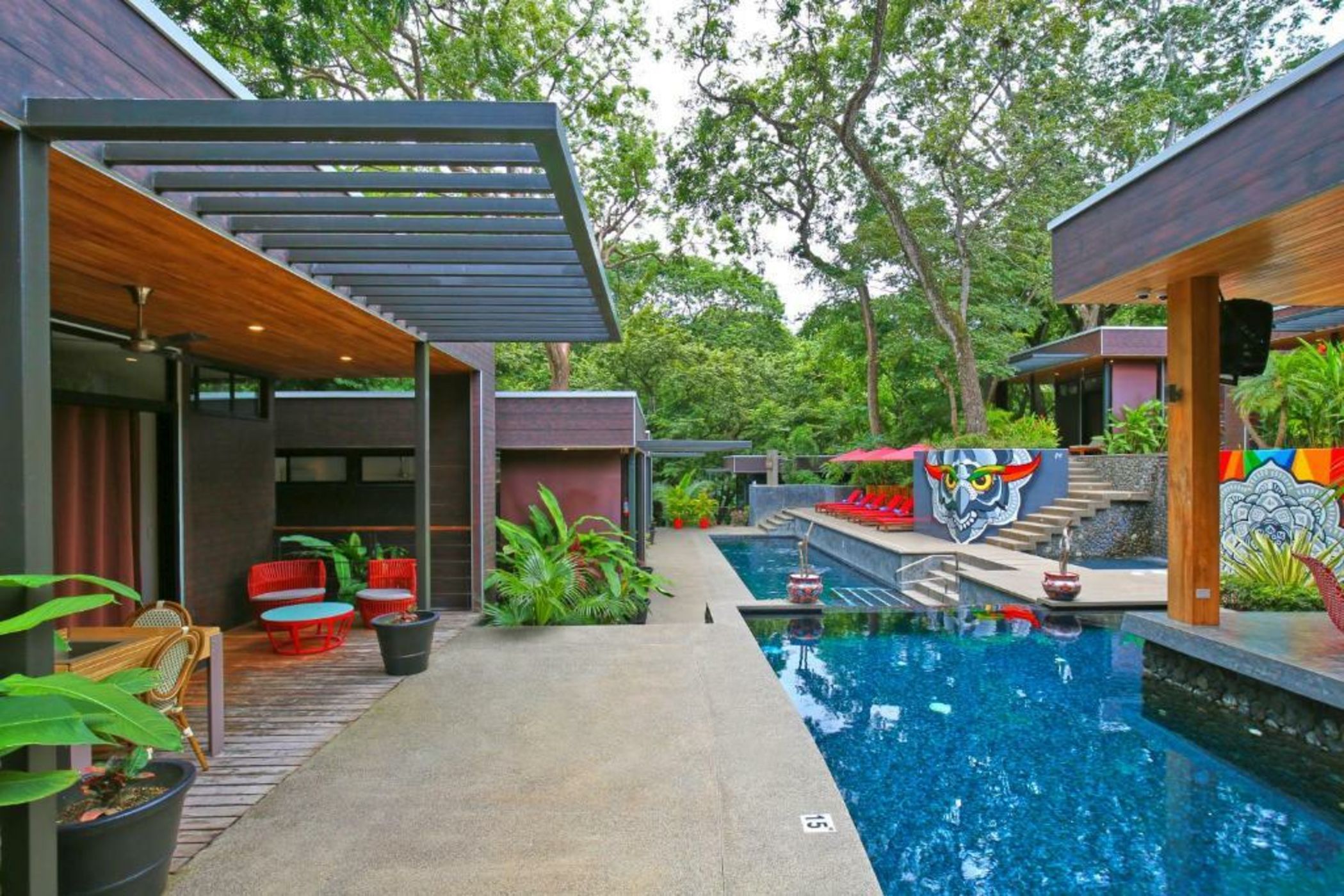 The White Palms of Nosara