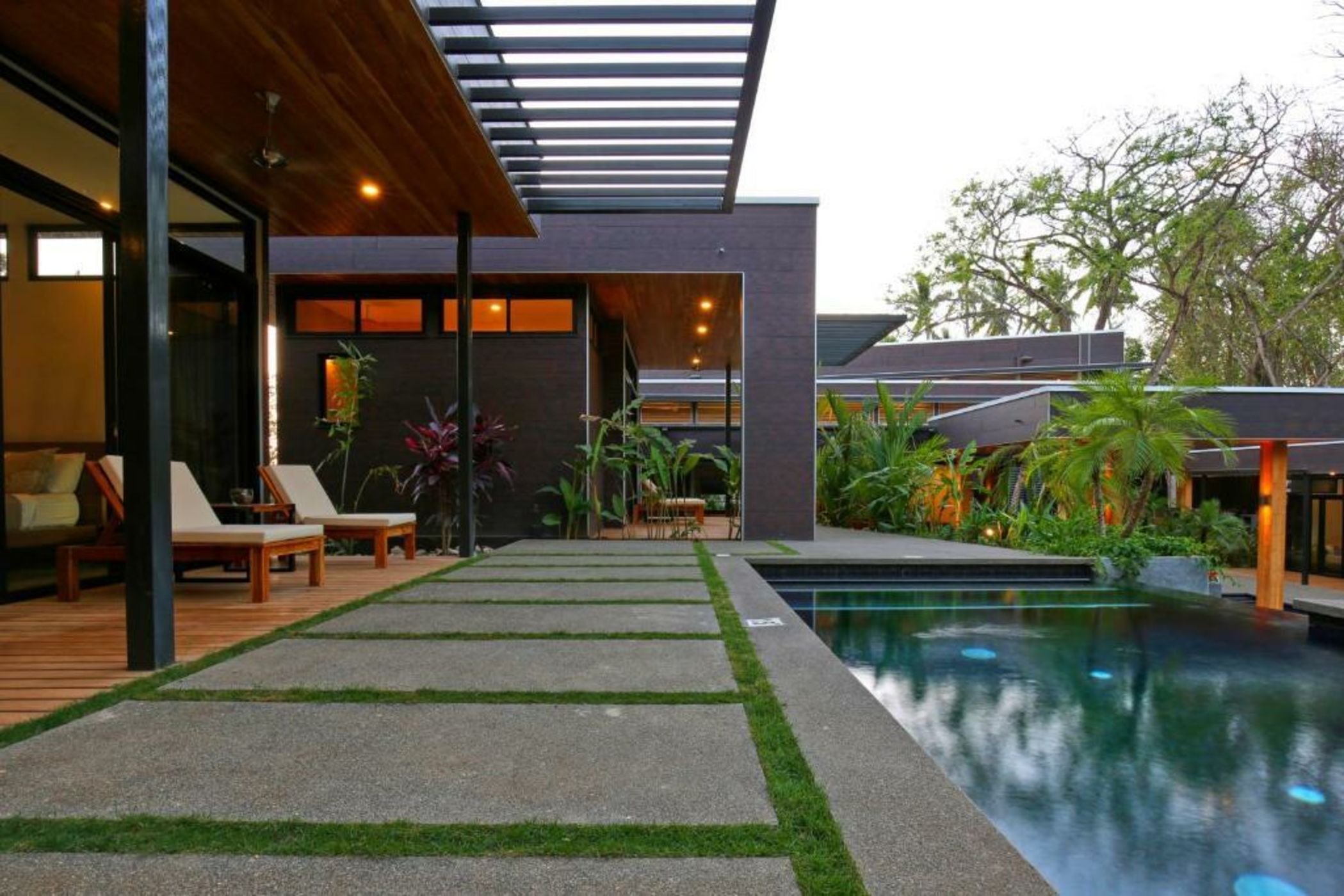 The White Palms of Nosara