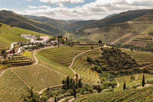 Quinta Nova Winery House - Relais & Châteaux
