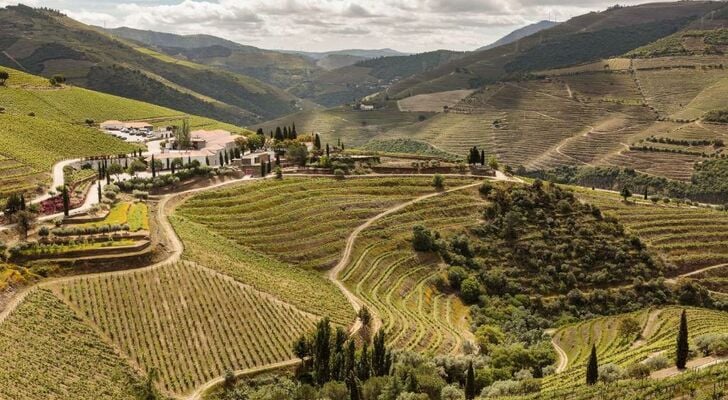 Quinta Nova Winery House - Relais & Châteaux