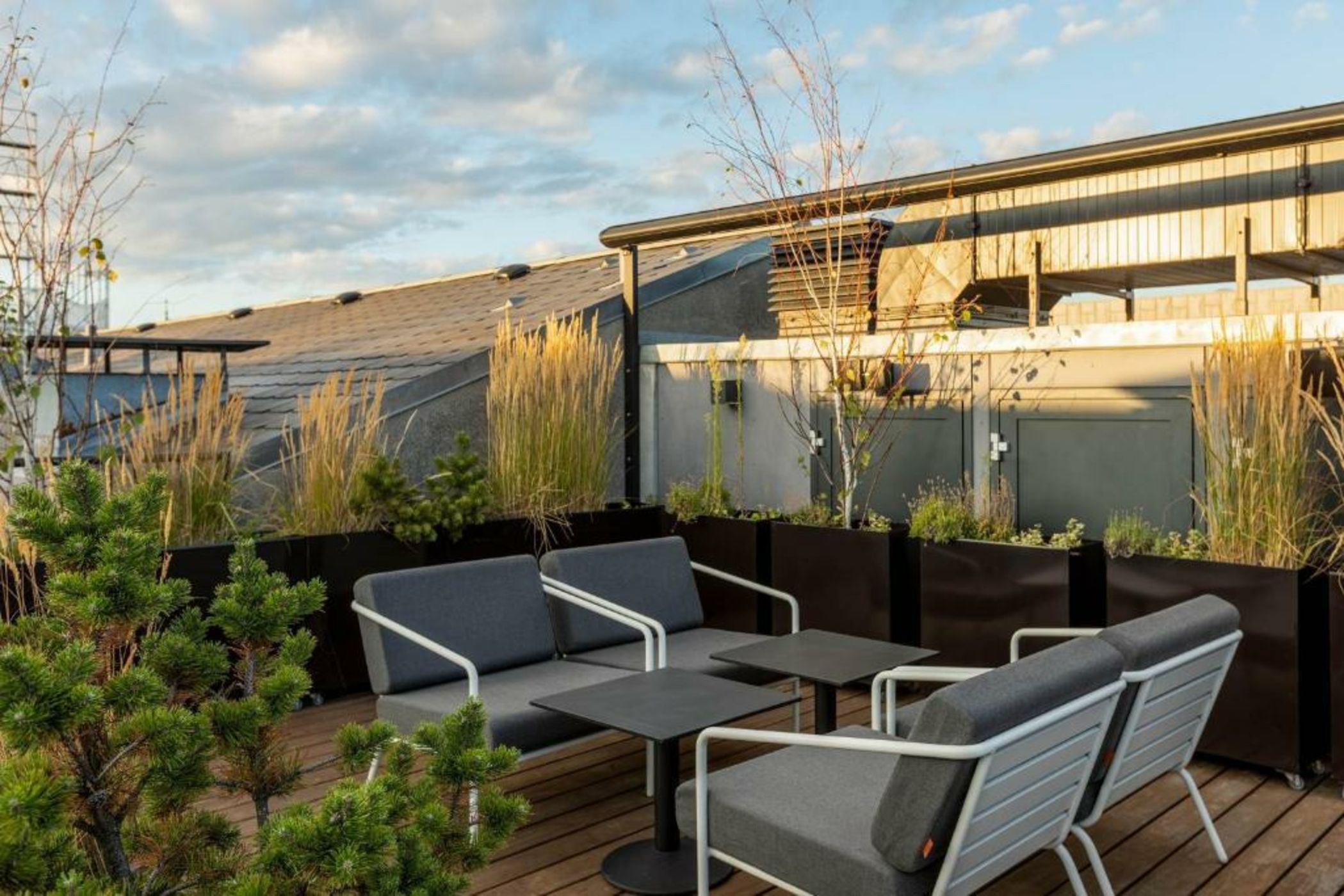 the Socialist, a Tribute Portfolio Hotel