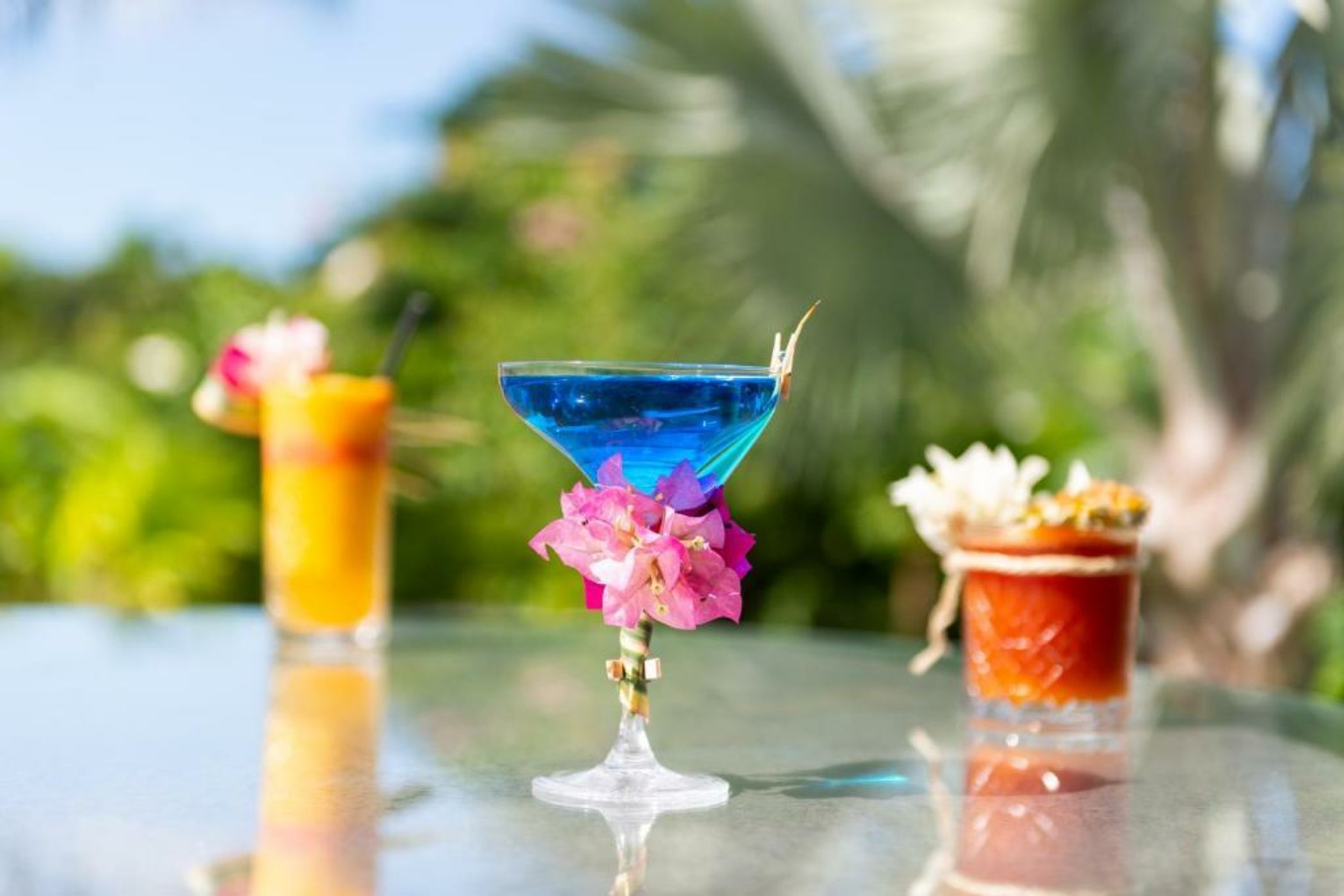 Habitation Saint Charles - Hôtel de Charme & Spa