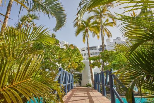 Hyatt Ziva Jardín Tropical Tenerife