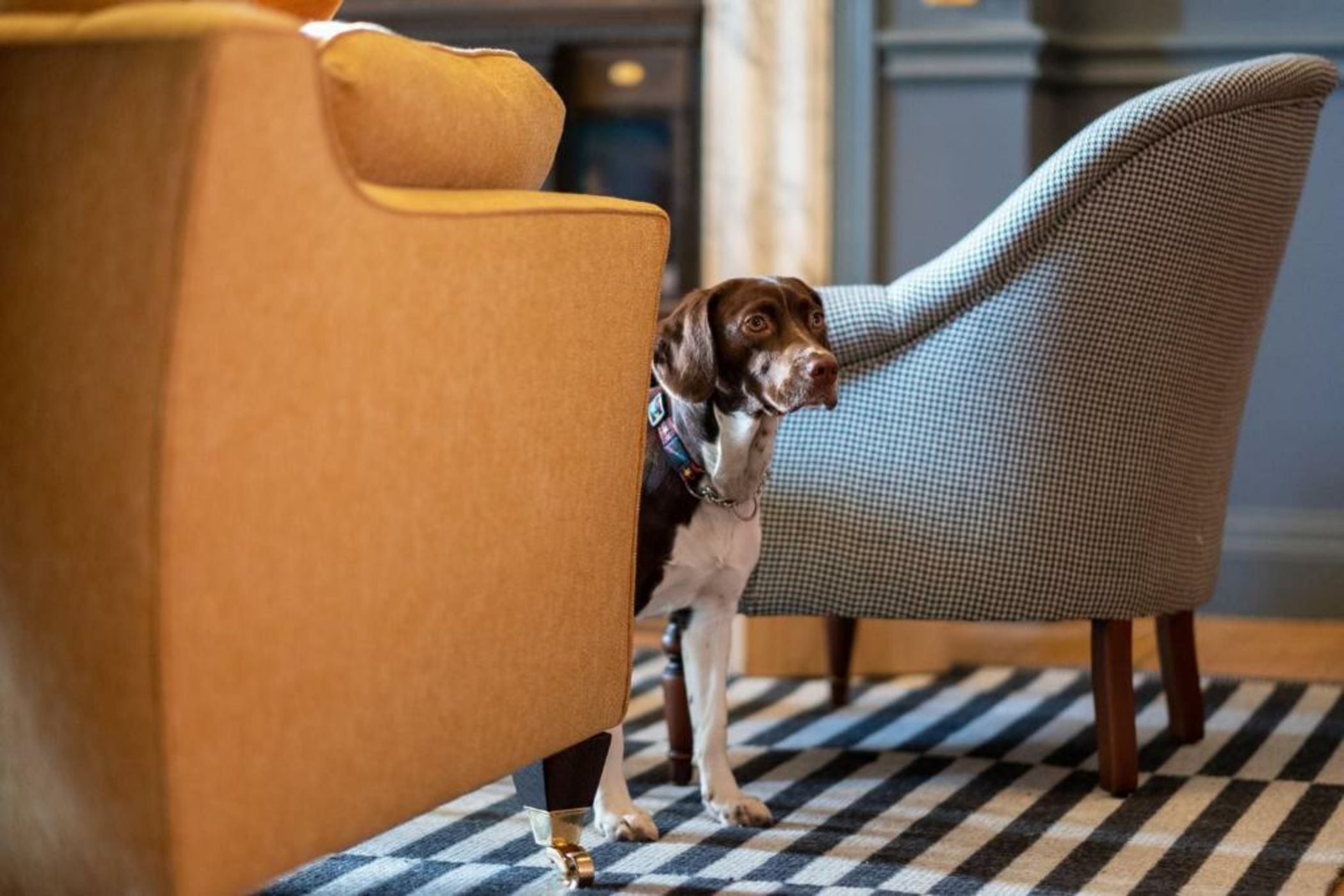 Fowey Hall - A Luxury Family Hotel