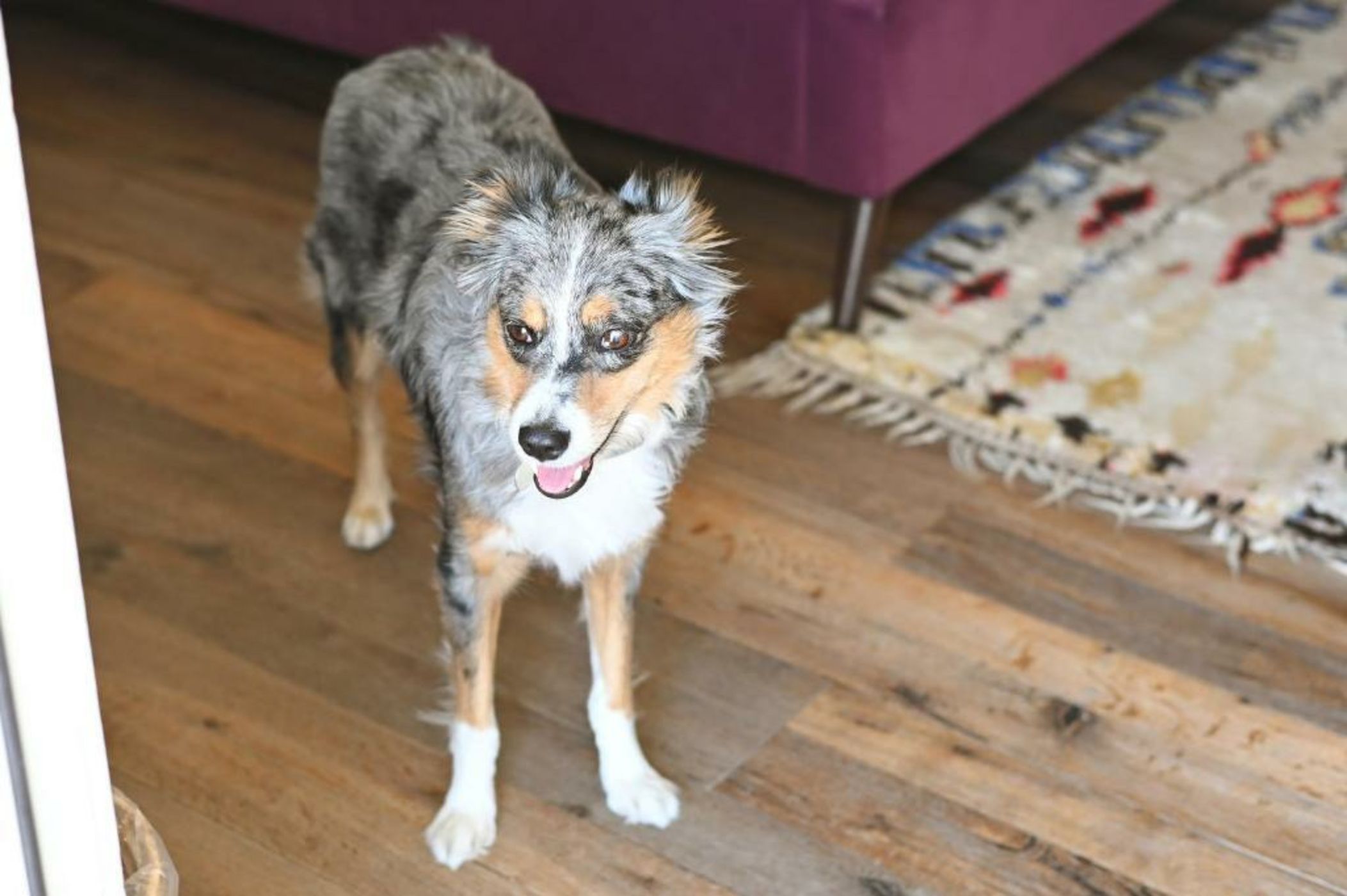 Skyview Los Alamos - 21 & Over Pool