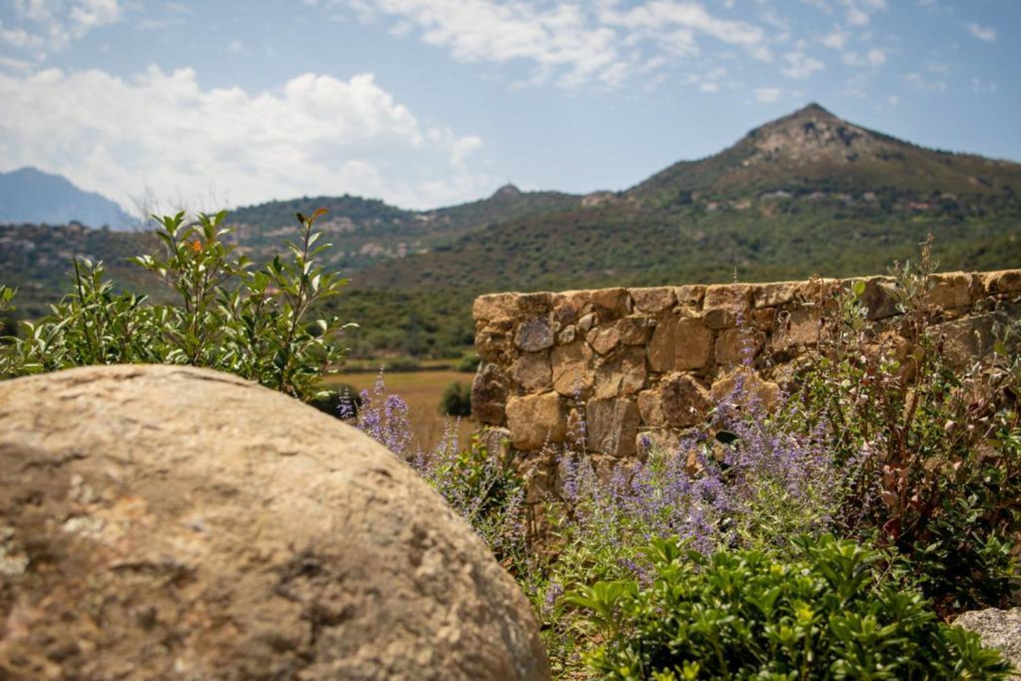 Hôtel Restaurant Villa Joséphine