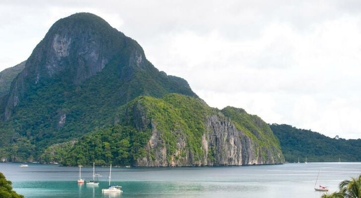 The Funny Lion - El Nido