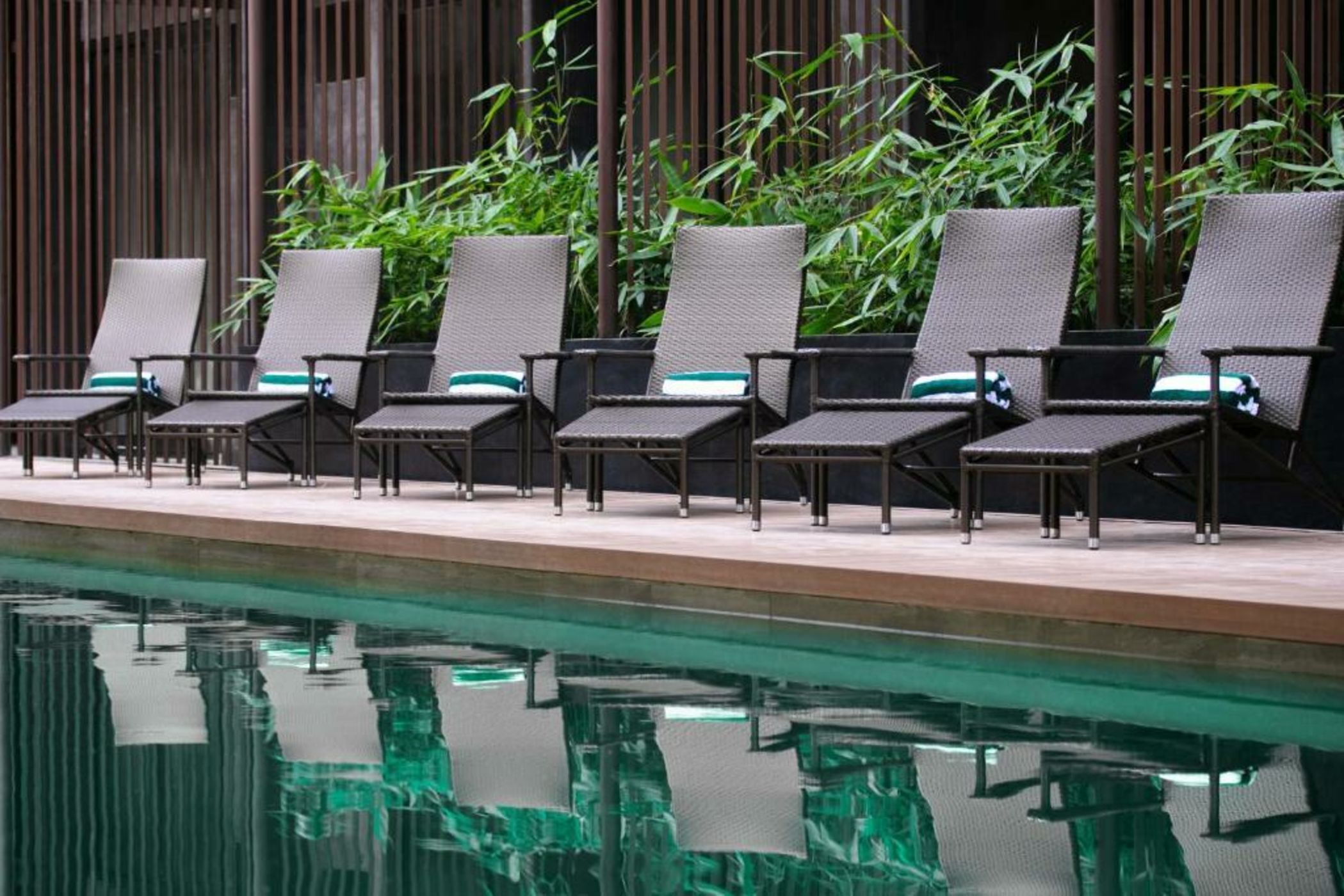 The Funny Lion - El Nido