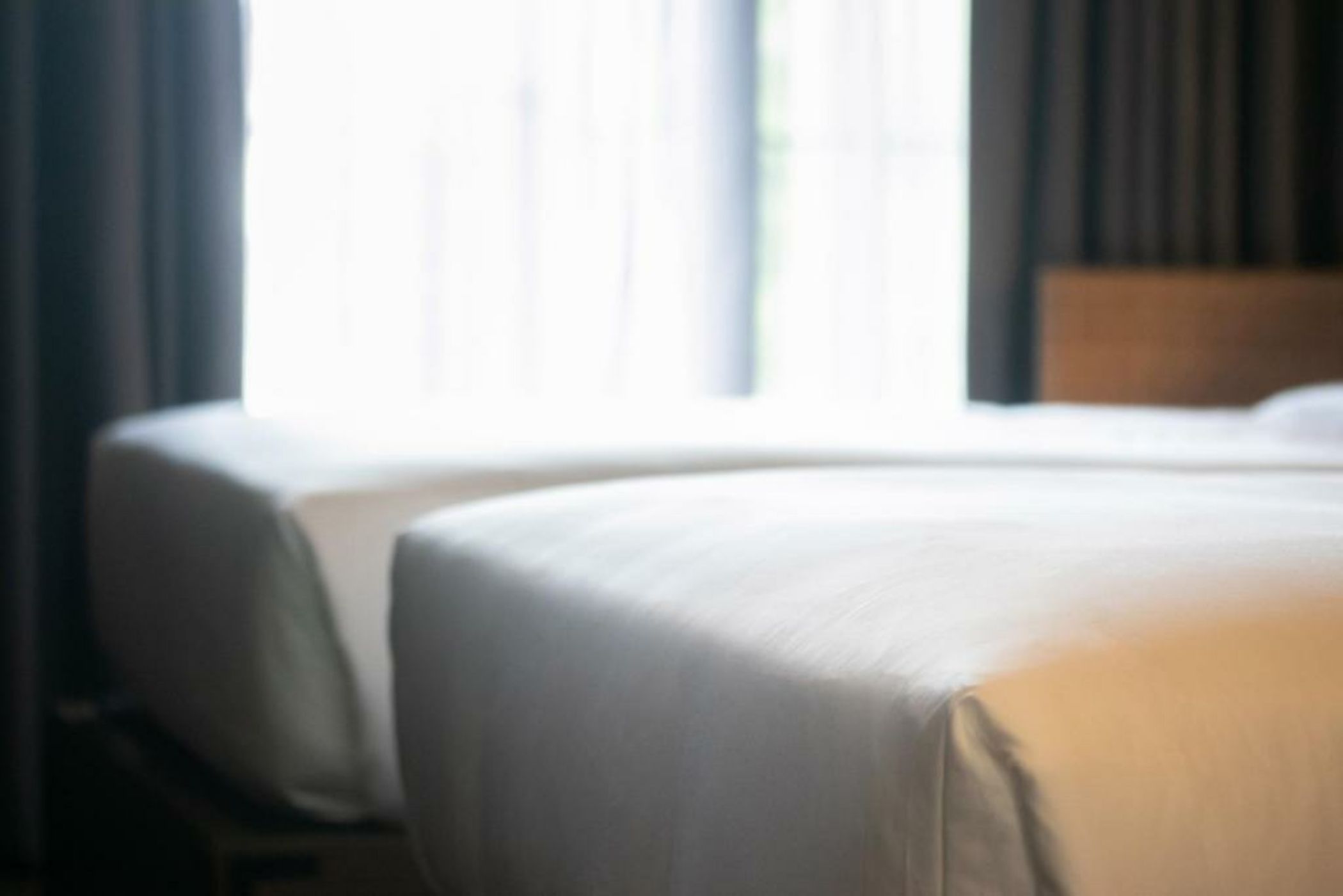 The Funny Lion - El Nido