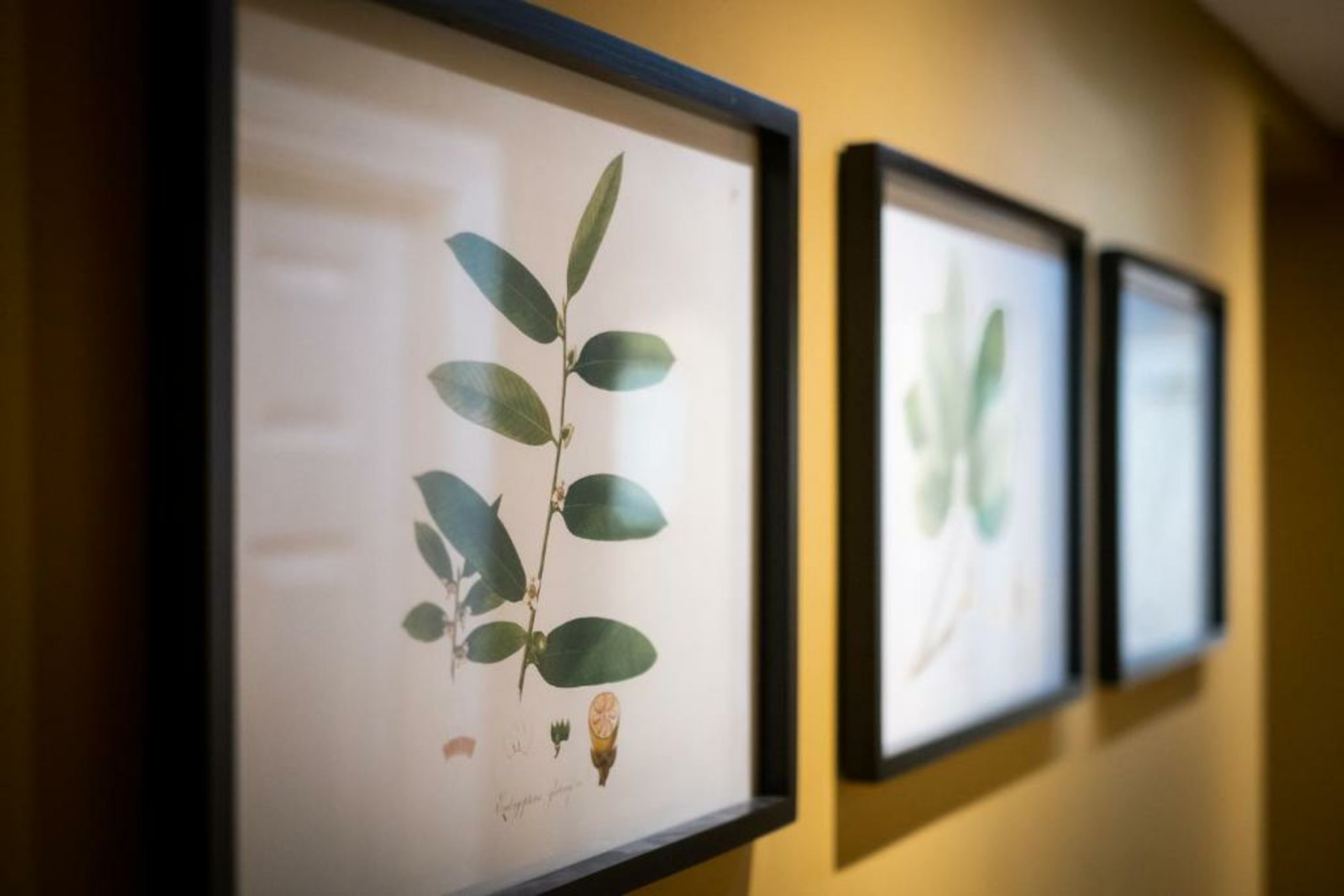 The Hare & Hounds Inn