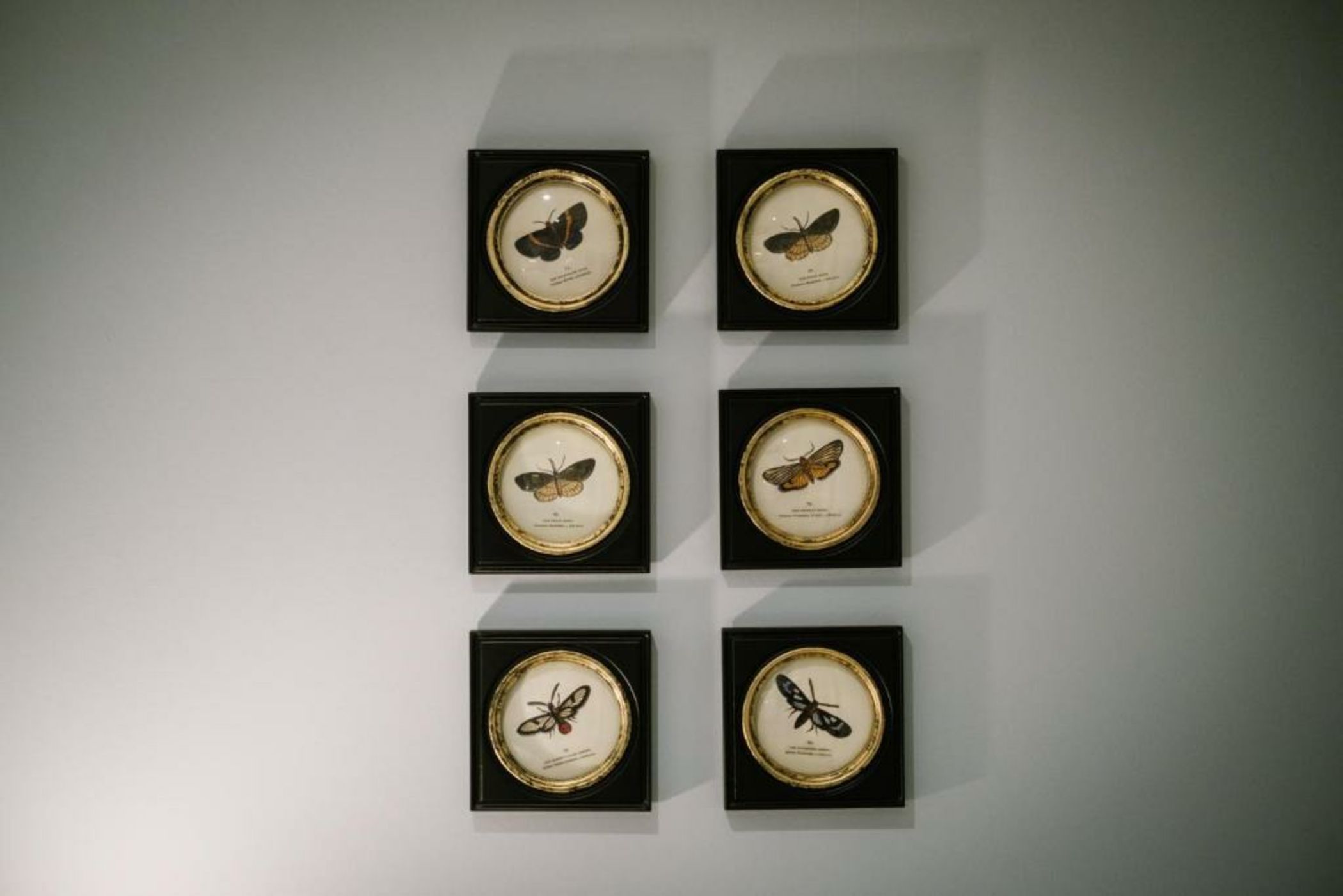 The Hare & Hounds Inn