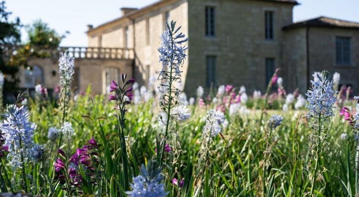 Château de Ferrand